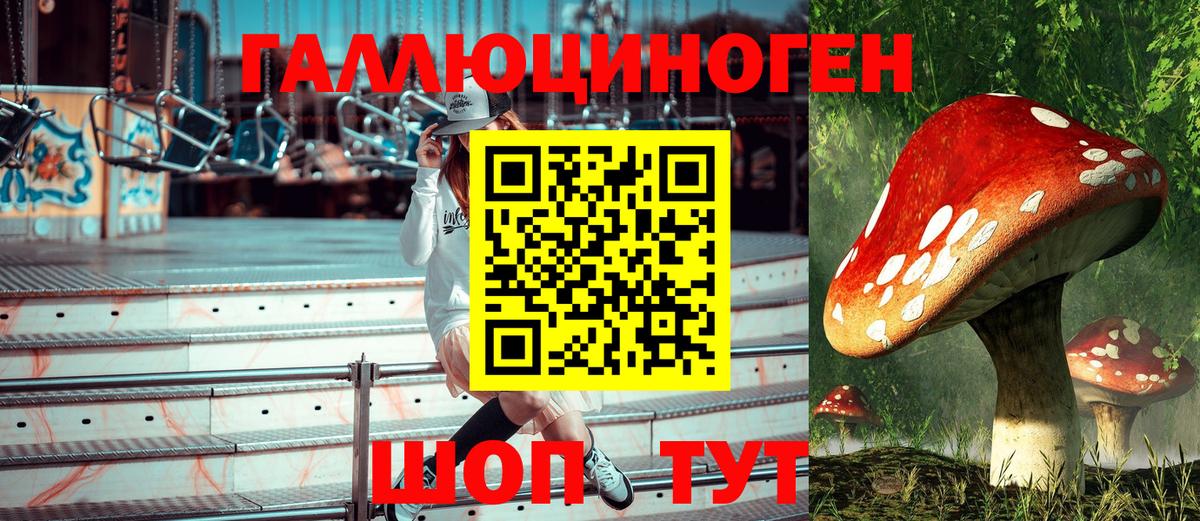 Галлюциногенные грибы мицелий  Псилоцибиновые грибы мицелий  Череповец  Вход с VPN 