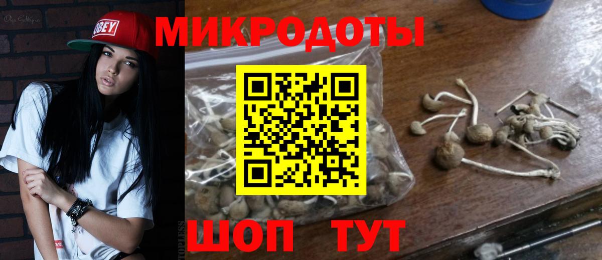 Псилоцибиновые грибы GOLDEN TEACHER Череповец